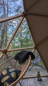 Arborea, nuits insolites au cœur de la forêt