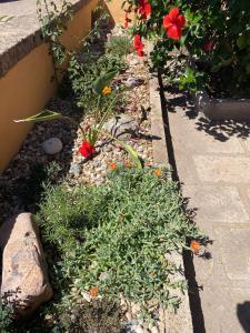 Casa Colori - Entspannen mit Meerblick