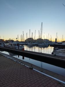 La Terrasse des Voiliers