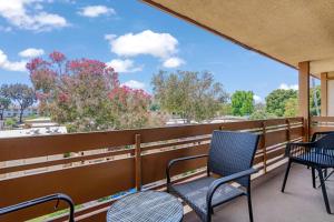 Luxury Condo Resort Amenities - Pool, Pickleball