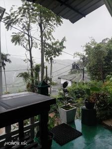 Royal homestay at Misty Mountain