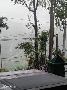 Royal homestay at Misty Mountain