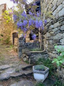La maisonnette des Cevennes