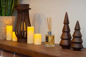 Freeman-2a двокімнатний апартамент ЧАСТИНА БУДИНКУ на увесь перший поверх котеджу з окремим входом, терасою та грилем - для 4гостей