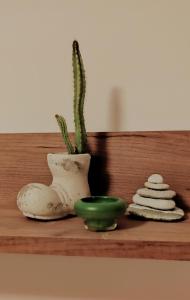 Spacious, Comfortable Top Central Apartment