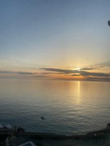 Apartmani Vila Delfin