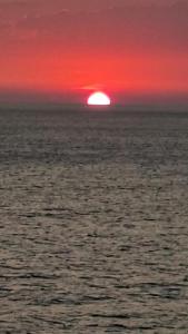 Apartmani Vila Delfin