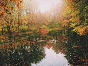 7 bedroom for groups near DC and Balt