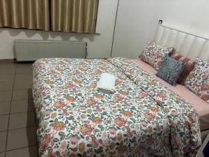 Chambres et appartement dans un immeuble