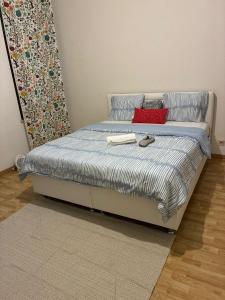 Chambres et appartement dans un immeuble