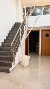 Across from the Turia Modern City Stay