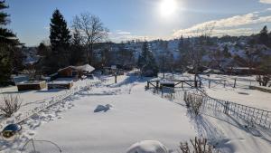 Ferienwohnung Traumblick
