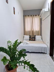 Casas Morro de São Paulo