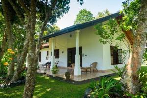 Hikka Magnoon Villa
