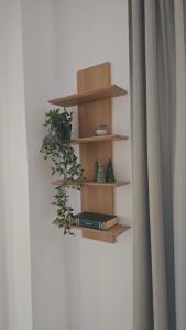 Oak Apartments Columna Cluj