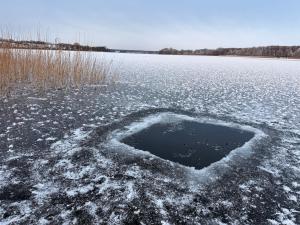 Mahoniówka Mikołajki