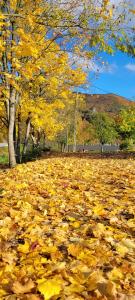 Widokowy Raj Piękny Widok!!