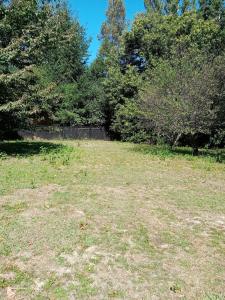 Cabaña con acceso al lago Calafquen