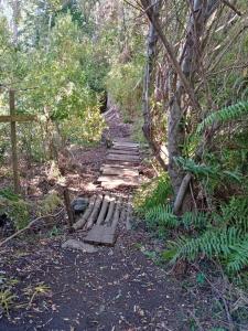 Cabaña con acceso al lago Calafquen