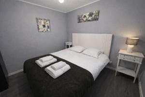 GÎTE RABELAIS - A 5MIN DU CHÂTEAU DAMBOISE