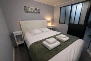 GÎTE RABELAIS - A 5MIN DU CHÂTEAU DAMBOISE