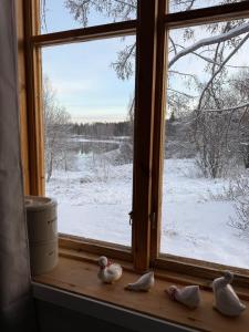 Snöbergets Arctic Cabin