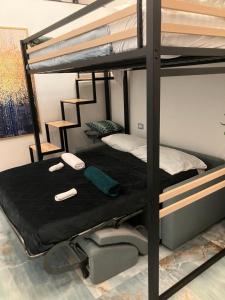 Angelo poliziano destra