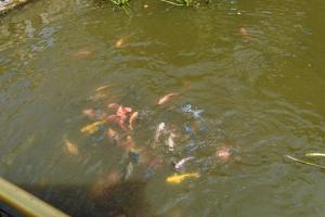 Homestay Hoàng Long