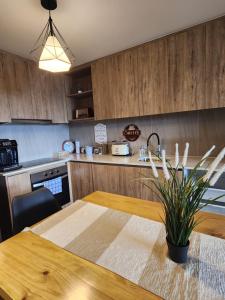 Pewun frente al Lago Villarrica