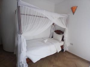 Bird of Paradise Eco Lodge