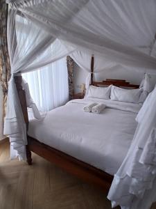 Bird of Paradise Eco Lodge