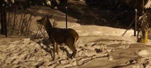 Apartmán 4, Pstruží, Krušné hory