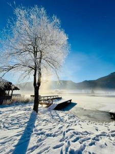 Der Kaerntnerhof am Weissensee, SeeHotel & SeeApartments direkt am See