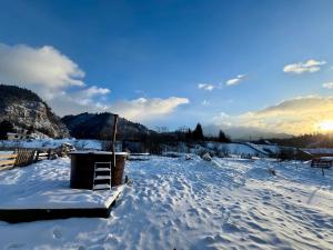 Casa Ioana și Florin