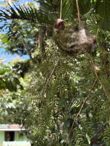 Campo Verde House, La Fortuna de San Carlos