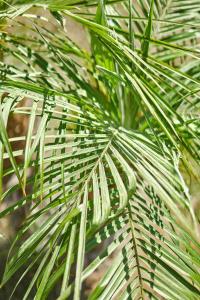 Centrally Located Stylish San Diego 2 Bedroom House