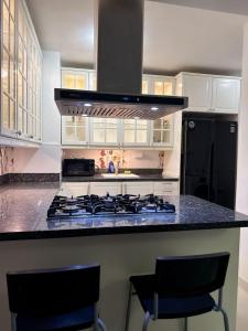 Modern apartment in Gurabo Santiago