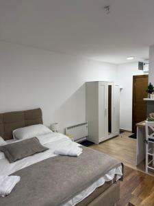 Jasmin President Kop