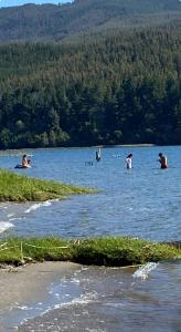 Complejo Pehuen Lago Lanalhue