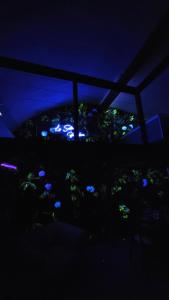 La Suite Pandora - Escape Game I SPA I Sauna