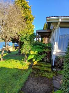 Complejo Pehuen Lago Lanalhue