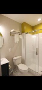 Private University city apartment