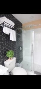 Fresh One Bedroom Apartment in University City