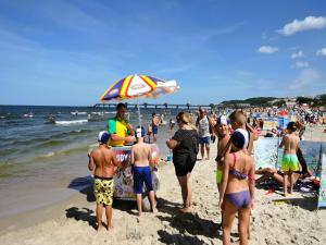 Holiday homes for 5 people, Miedzyzdroje