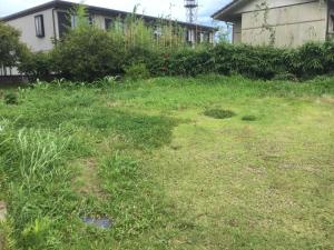 Strawberry Villa - Vacation STAY 17860