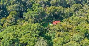 Riverside Jungle Home with Pool and only 5 mins to Beach