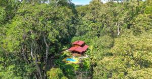 Riverside Jungle Home with Pool and only 5 mins to Beach