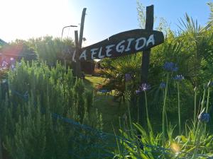 La Elegida alojamiento de playa