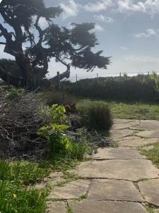 Bodega Bay Magical Ocean Front wAmazing View!