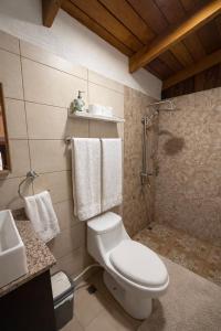 Villa with Jacuzzi and Terrace Jarabacoa - Pine View